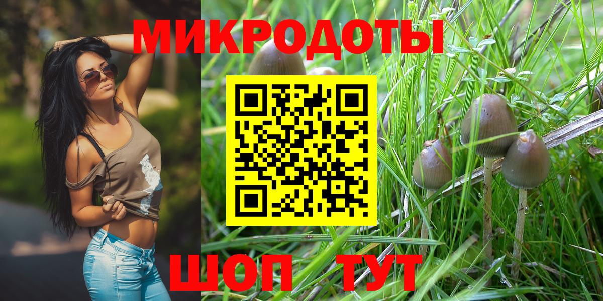 Канаш  Галлюциногенные грибы Magic Shrooms  Вход с VPN  даркнет сайт  Псилоцибиновые грибы GOLDEN TEACHER 
