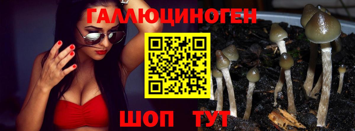 ГАШ  Вход с VPN  A-PVP СОЛЬ кристаллы  ГАШИШ  МЕФ кристаллы  Канаш  Канабис  MDMA 